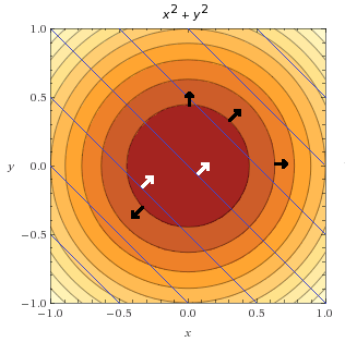 function_and_constraint_3